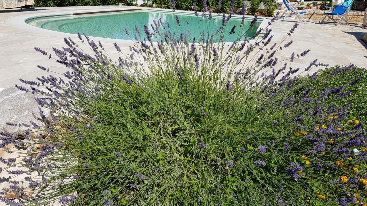 Trulli Giaci&Mauri Apart otel Selva Di Fasano Dış mekan fotoğraf